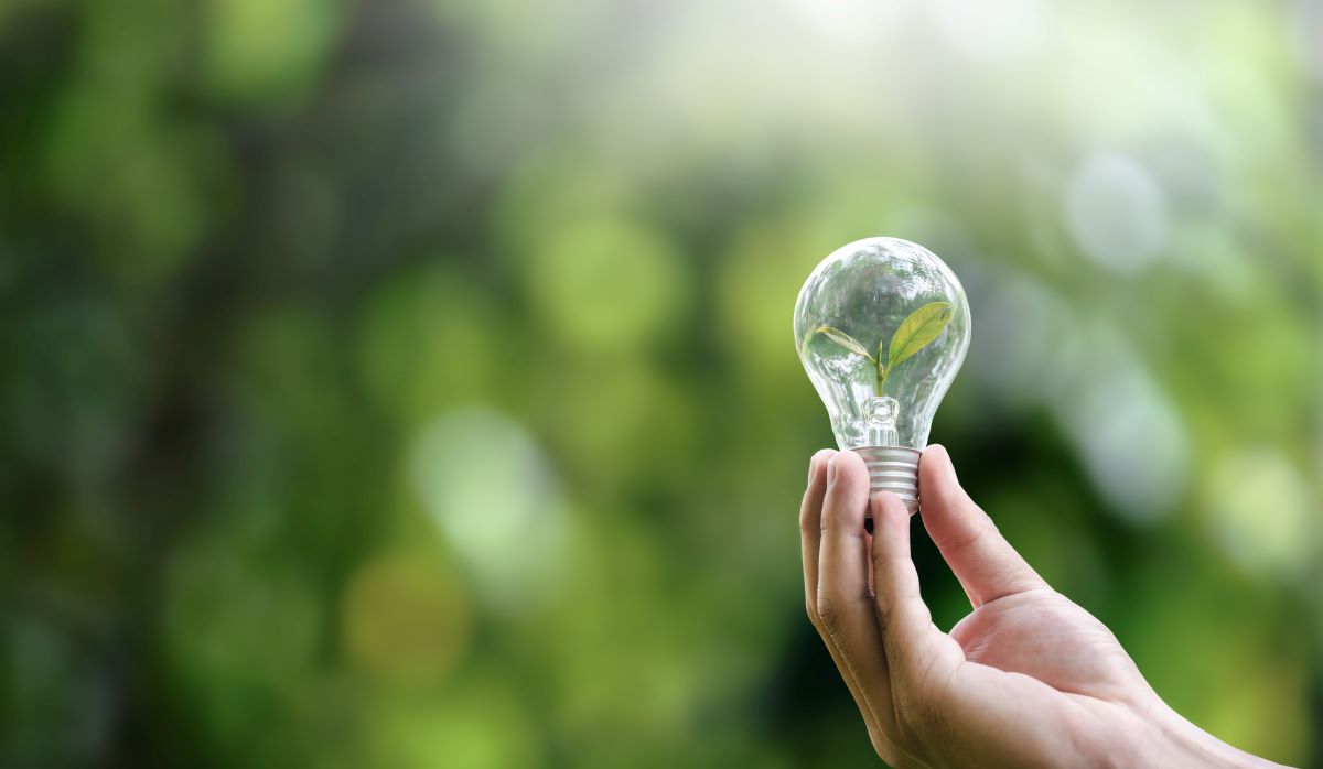 Energiesparen Haushalt: 10 effektive Maßnahmen